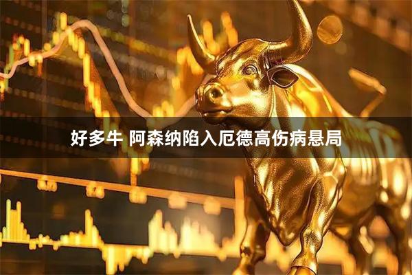 好多牛 阿森纳陷入厄德高伤病悬局