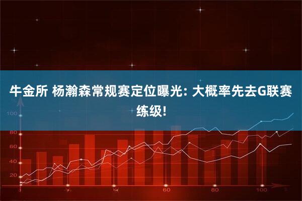 牛金所 杨瀚森常规赛定位曝光: 大概率先去G联赛练级!
